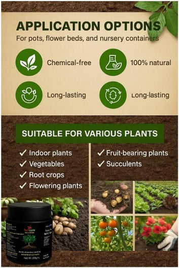 Soil Activator 100 gm Pack of 1